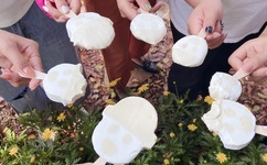 车内做运动视频叫疼